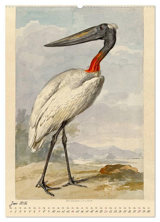 Produktbild: Aert Schouman. V&Ouml;GEL (Wandkalender 2026 DIN A2 hoch), CALVENDO Monatskalender