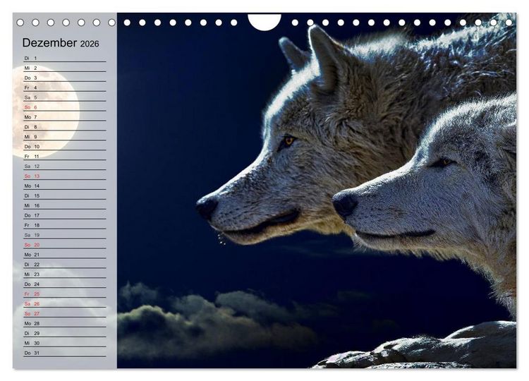 Produktbild: W&ouml;lfe. Graue Eminenzen (Wandkalender 2026 DIN A4 quer), CALVENDO Monatskalender