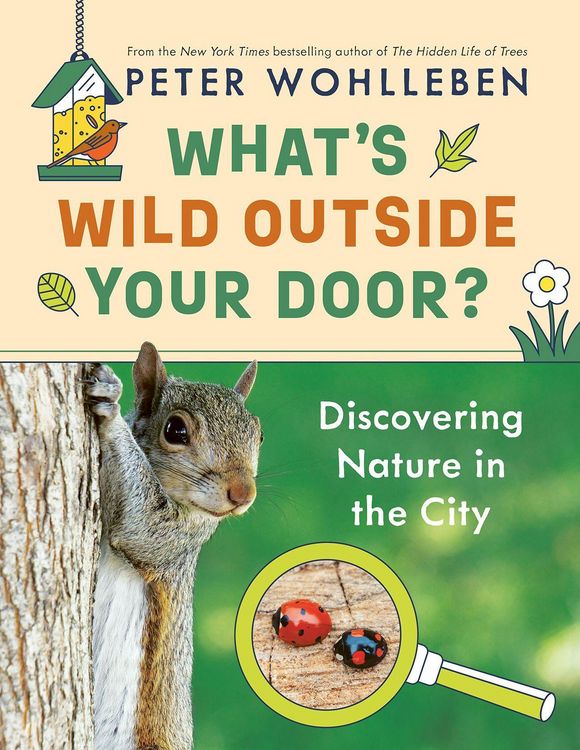 Produktbild: What's Wild Outside Your Door?