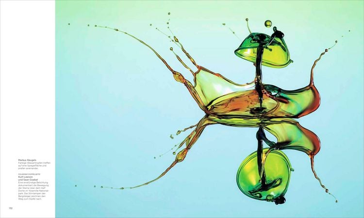 Produktbild: National Geographic Verborgene Welten &ndash; Einzigartige Fotografien