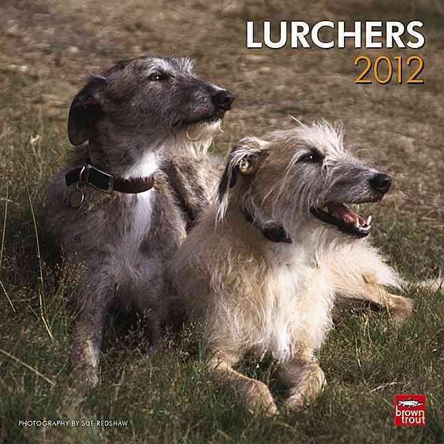 Produktbild: Lurchers 2012