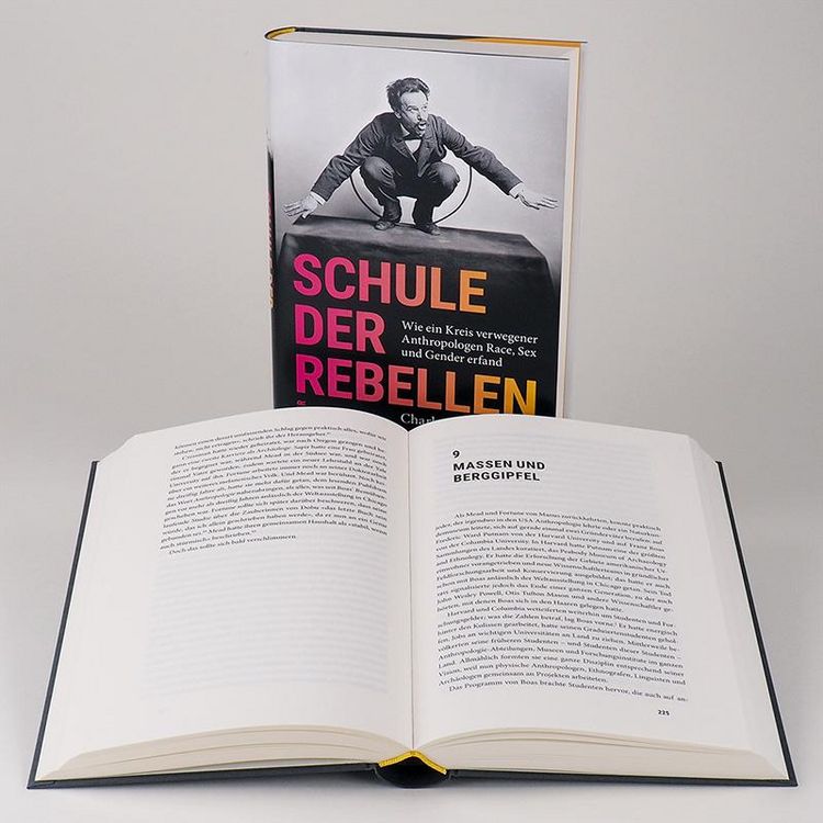 Produktbild: Schule der Rebellen