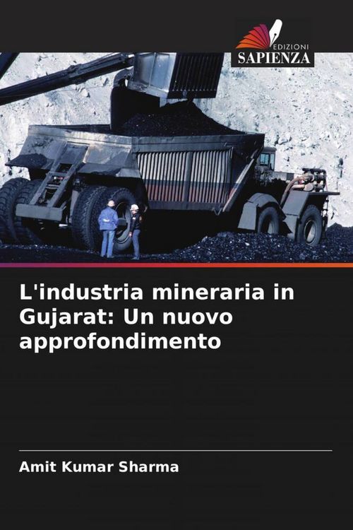 Produktbild: L'industria mineraria in Gujarat: Un nuovo approfondimento