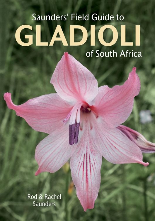 Produktbild: Saunders' Field Guide to Gladioli of South Africa