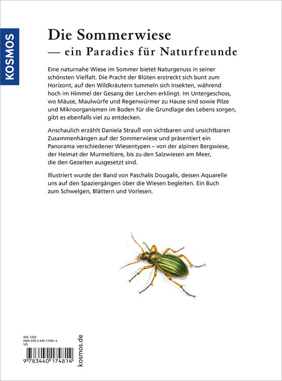 Produktbild: Sommerwiese