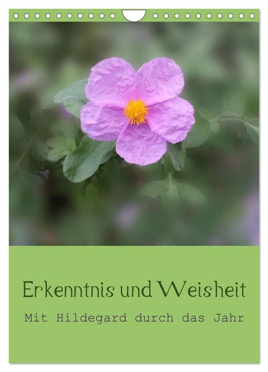 Produktbild: Erkenntnis und Weisheit - Hildegard von Bingen (Wandkalender 2026 DIN A4 hoch), CALVENDO Monatskalender