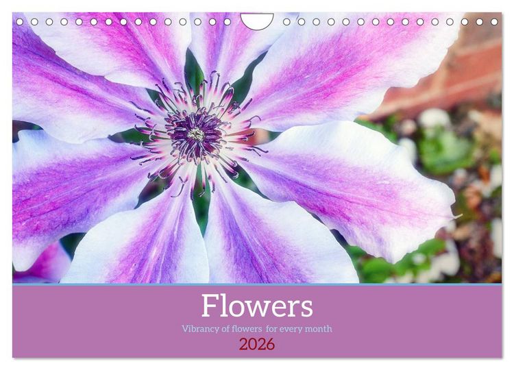 Produktbild: Vibrancy of flowers (Wall Calendar 2026 DIN A4 landscape), CALVENDO 12 Month Wall Calendar