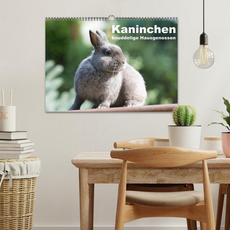 Produktbild: Kaninchen - knuddelige Hausgenossen (Wandkalender 2026 DIN A3 quer), CALVENDO Monatskalender