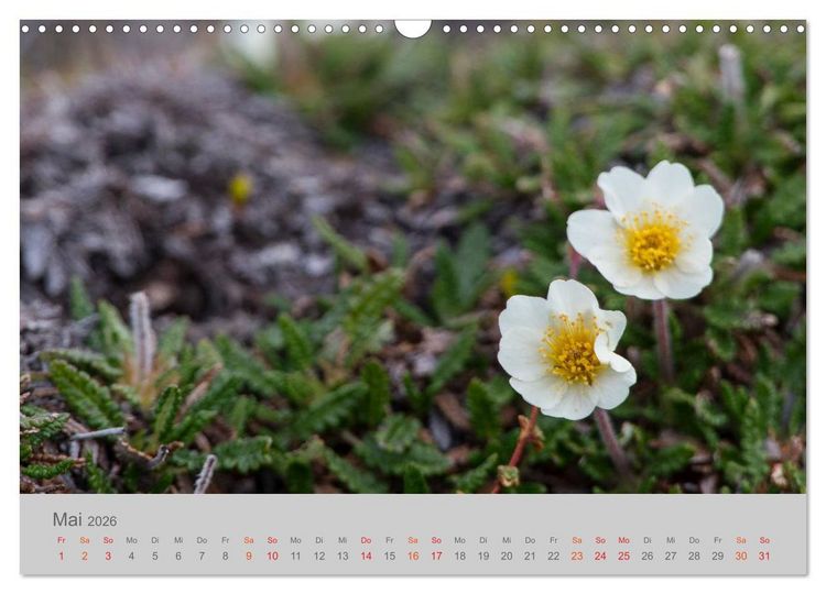 Produktbild: Spitzbergen 80&deg; Nord (Wandkalender 2026 DIN A3 quer), CALVENDO Monatskalender