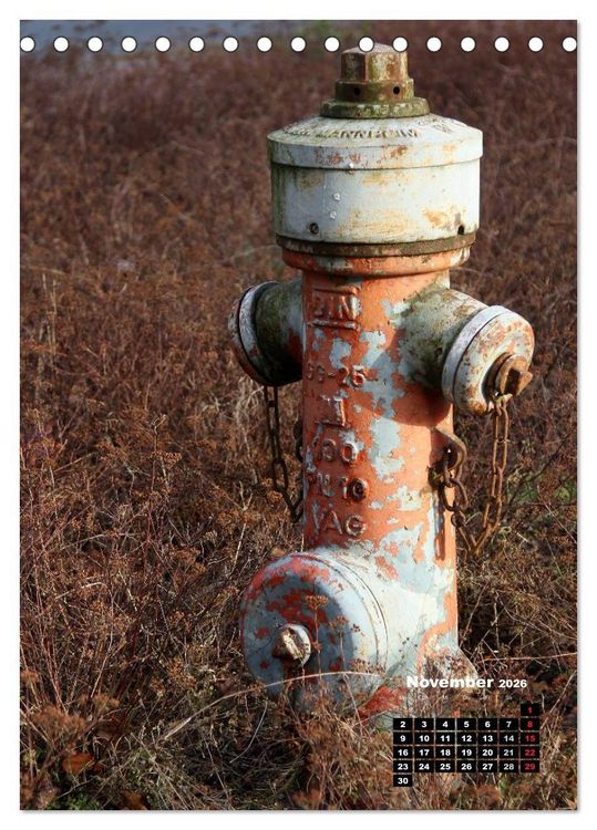 Produktbild: Nostalgie Hydranten (Tischkalender 2026 DIN A5 hoch), CALVENDO Monatskalender