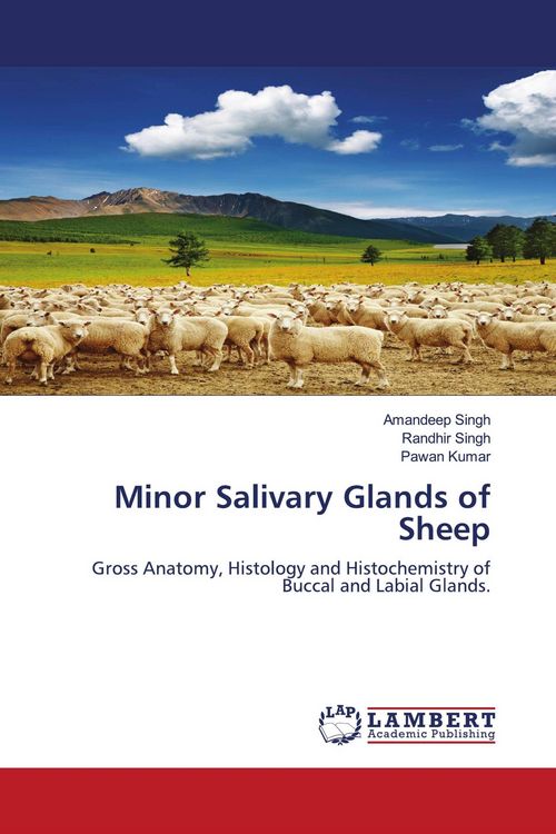 Produktbild: Minor Salivary Glands of Sheep