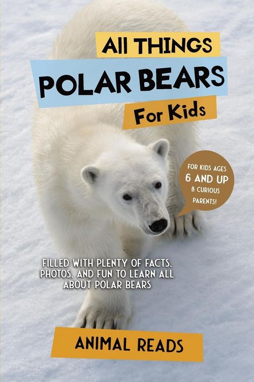 Produktbild: All Things Polar Bears For Kids