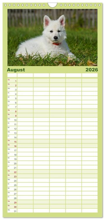 Produktbild: Familienplaner 2026 - Wei&szlig;er Schweizer Sch&auml;ferhund - Ein Tag im Leben einer Hundefamilie mit 5 Spalten (Wandkalender, 21 x 45 cm) CALVENDO