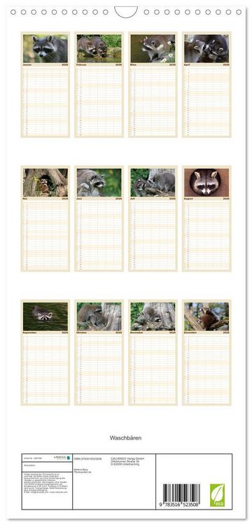 Produktbild: Familienplaner 2026 - Waschb&auml;ren mit 5 Spalten (Wandkalender, 21 x 45 cm) CALVENDO