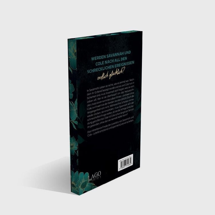 Produktbild: Mended Destiny (Broken-Trilogie, Bd. 3)