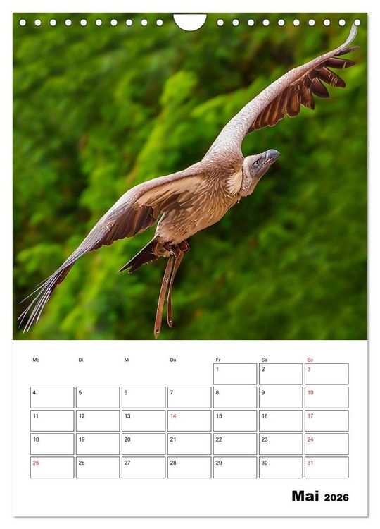 Produktbild: Raub- und Greifv&ouml;gel im Flug (Wandkalender 2026 DIN A4 hoch), CALVENDO Monatskalender