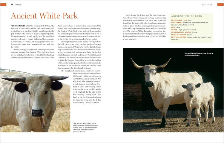 Produktbild: Storey's Illustrated Breed Guide to Sheep, Goats, Cattle and Pigs