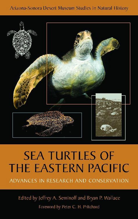 Produktbild: Sea Turtles of the Eastern Pacific