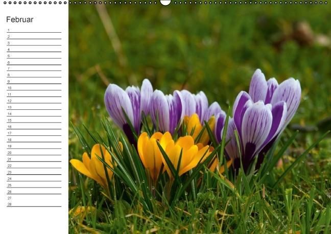Produktbild: Ich denk an Dich ... Pers&ouml;nlicher Terminkalender (Wandkalender immerw&auml;hrend DIN A2 quer)