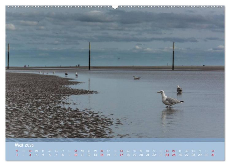Produktbild: Mein St.Peter-Ording (Wandkalender 2026 DIN A2 quer), CALVENDO Monatskalender