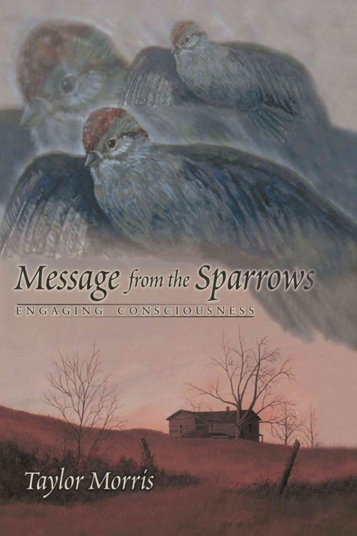 Produktbild: Message from the Sparrows