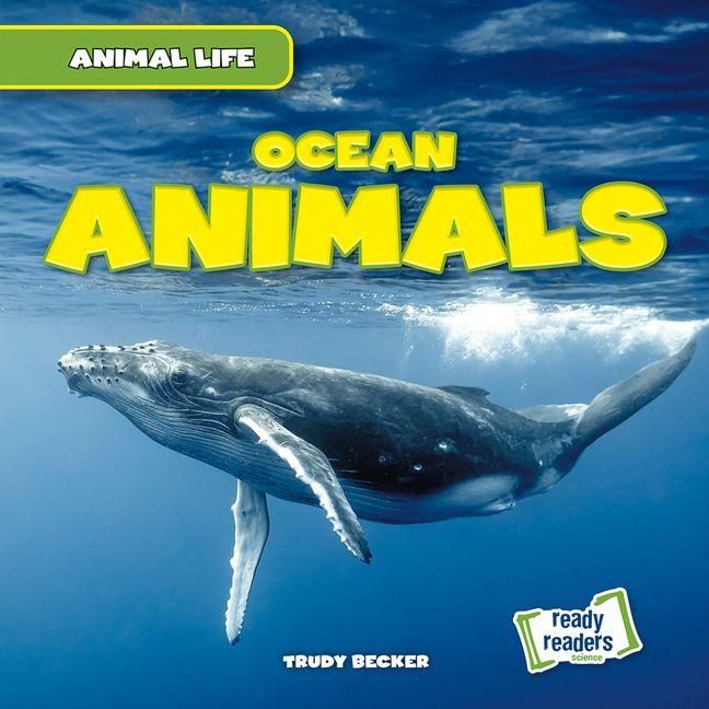 Produktbild: Ocean Animals