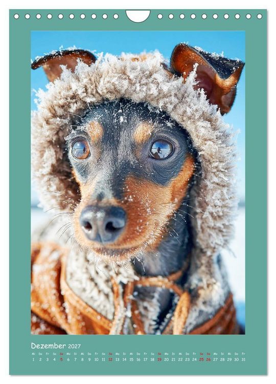 Produktbild: Mini-Pinscher. Kleine Hunde in sch&ouml;nen Momenten (Wandkalender 2027 DIN A4 hoch), CALVENDO Monatskalender