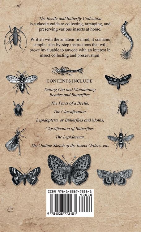 Produktbild: Beetle and Butterfly Collection - A Guide to Collecting, Arranging and Preserving Insects at Home