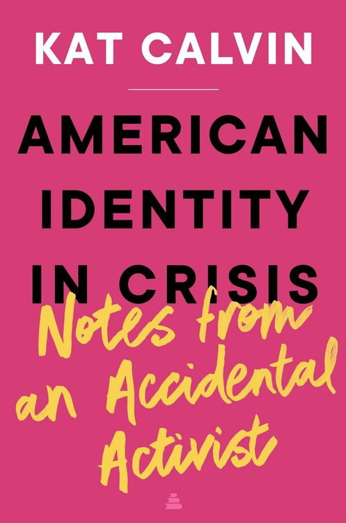 Produktbild: American Identity in Crisis: Notes from an Accidental Activist