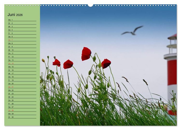 Produktbild: Mohnblumen Tr&auml;ume (hochwertiger Premium Wandkalender 2026 DIN A2 quer), Kunstdruck in Hochglanz