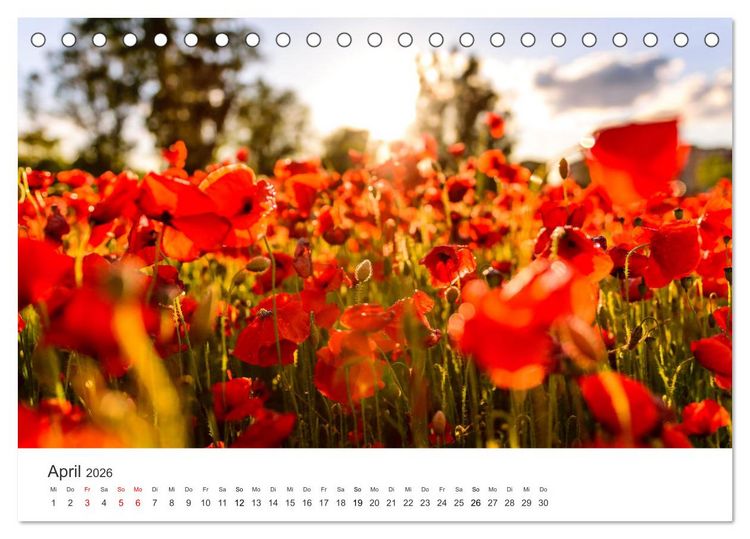 Produktbild: Spanien - ein Land zum Verlieben. (Tischkalender 2026 DIN A5 quer), CALVENDO Monatskalender
