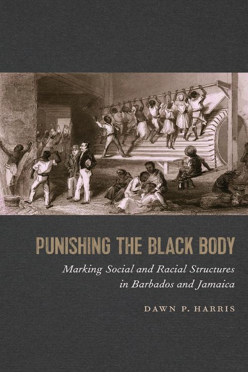 Produktbild: Punishing the Black Body