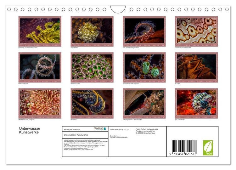 Produktbild: Unterwasser Kunstwerke (Wandkalender 2026 DIN A4 quer), CALVENDO Monatskalender