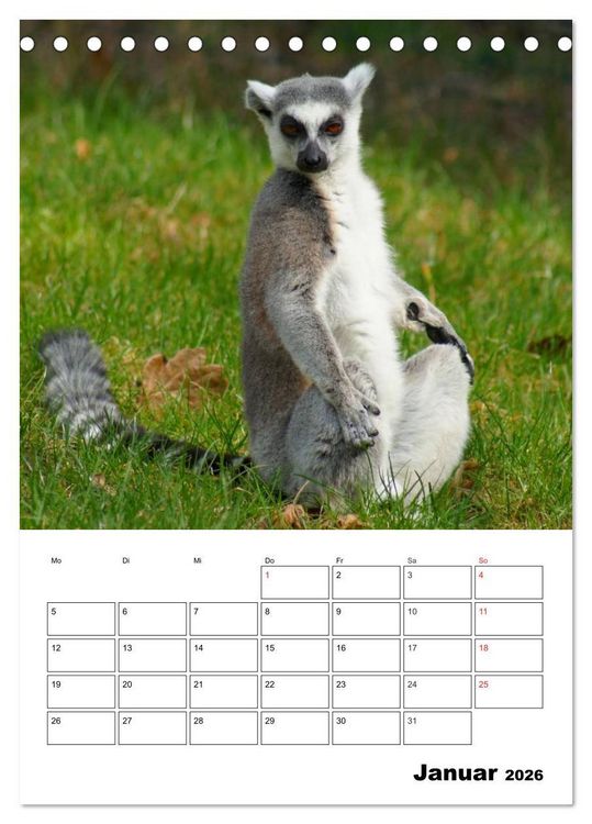 Produktbild: Katta Terminplaner (Tischkalender 2026 DIN A5 hoch), CALVENDO Monatskalender