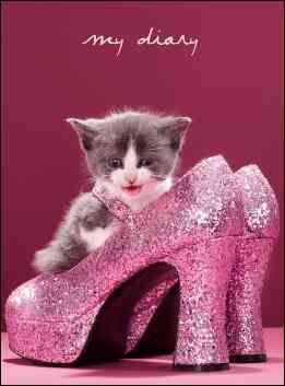 Produktbild: Kitten Heels [With Lock, 2 Keys]