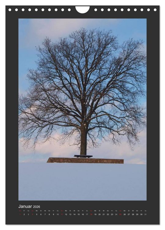 Produktbild: Odenwald - Impressionen einer Landschaft (Wandkalender 2026 DIN A4 hoch), CALVENDO Monatskalender