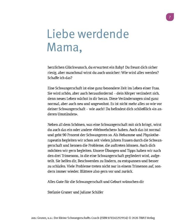 Produktbild: Der kleine Schwangerschafts-Coach