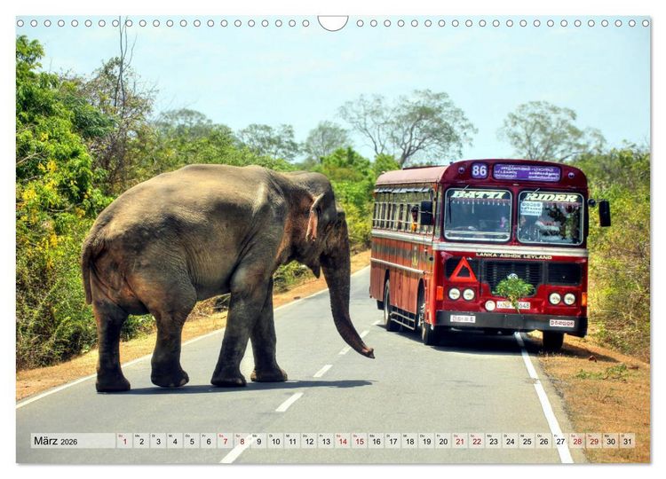 Produktbild: Sri Lanka - Tempel, Tee und Elefanten (Wandkalender 2026 DIN A3 quer), CALVENDO Monatskalender