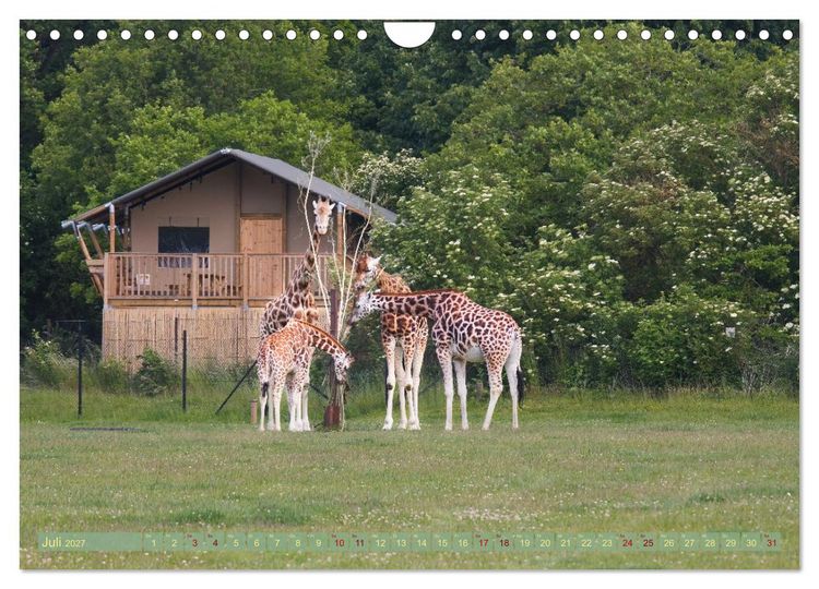 Produktbild: D&auml;nemark Lolland Ein Urlaub voller Mythen und Sch&ouml;nheiten (Wandkalender 2027 DIN A4 quer), CALVENDO Monatskalender