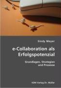 Produktbild: E-Collaboration als Erfolgspotenzial