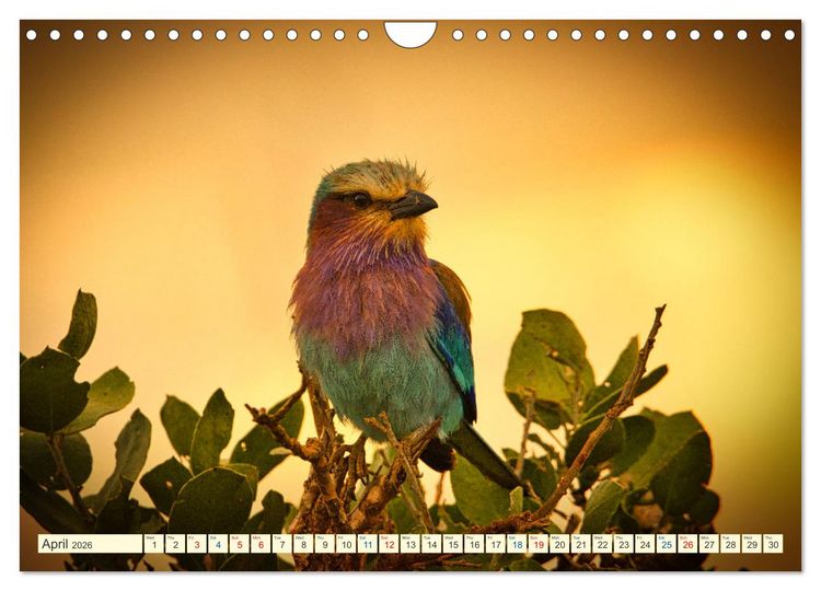 Produktbild: Fantastic Kenya (Wall Calendar 2026 DIN A4 landscape), CALVENDO 12 Month Wall Calendar