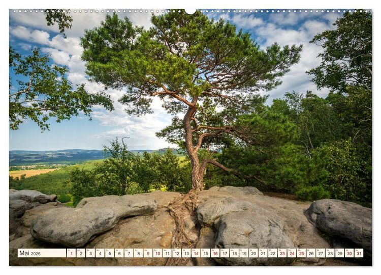 Produktbild: Im Zauber der W&auml;lder (Wandkalender 2026 DIN A2 quer), CALVENDO Monatskalender