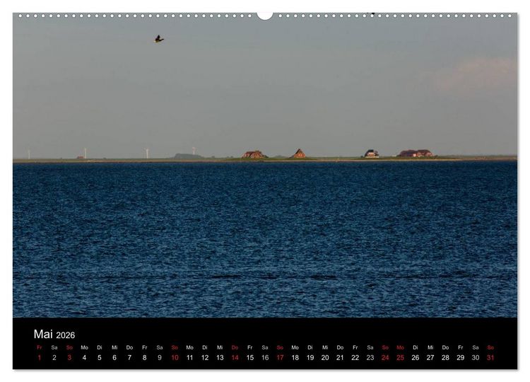 Produktbild: Pellworm 2026 (Wandkalender 2026 DIN A2 quer), CALVENDO Monatskalender
