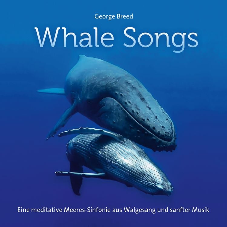 Produktbild: Whale Songs