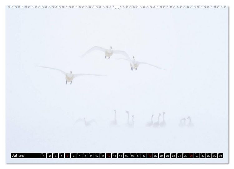 Produktbild: Japanische Vogelwelt im Winter (Wandkalender 2026 DIN A2 quer), CALVENDO Monatskalender
