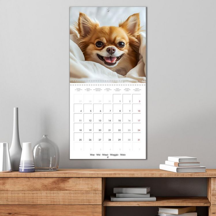 Produktbild: Cute Chihuahua (Wall Calendar 2026 12 &times; 12 Inch) CALVENDO 12 Month Wall Calendar