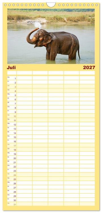 Produktbild: Familienplaner 2027 - Elefanten. Spa&szlig; am Wasser mit 5 Spalten (Wandkalender, 21 x 45 cm) CALVENDO
