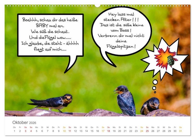 Produktbild: Wenn Schwalben reden (Wandkalender 2026 DIN A2 quer), CALVENDO Monatskalender