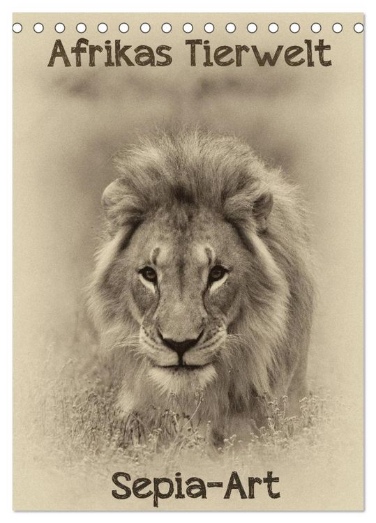 Produktbild: Afrikas Tierwelt - Sepia-Art (Tischkalender 2026 DIN A5 hoch), CALVENDO Monatskalender