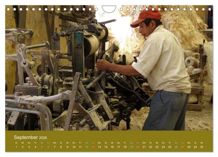 Produktbild: Maya in Yukatan 2026 (Wandkalender 2026 DIN A4 quer), CALVENDO Monatskalender